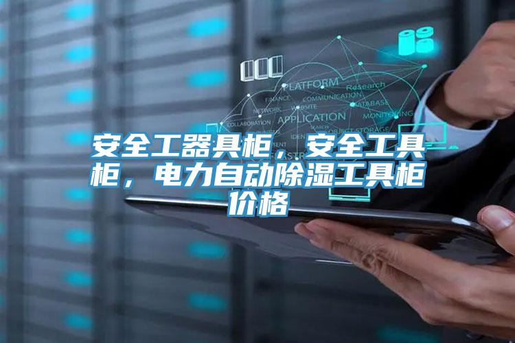 安全工器具柜，安全工具柜，電力自動除濕工具柜價格