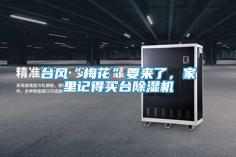 臺(tái)風(fēng)“梅花”要來了，家里記得買臺(tái)除濕機(jī)