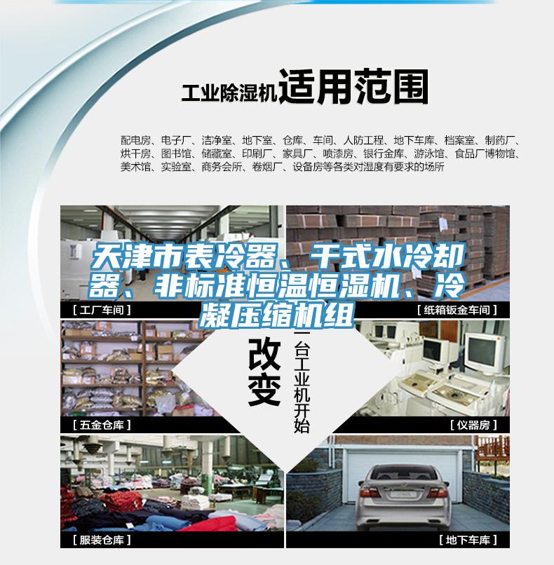天津市表冷器、干式水冷卻器、非標(biāo)準(zhǔn)恒溫恒濕機(jī)、冷凝壓縮機(jī)組
