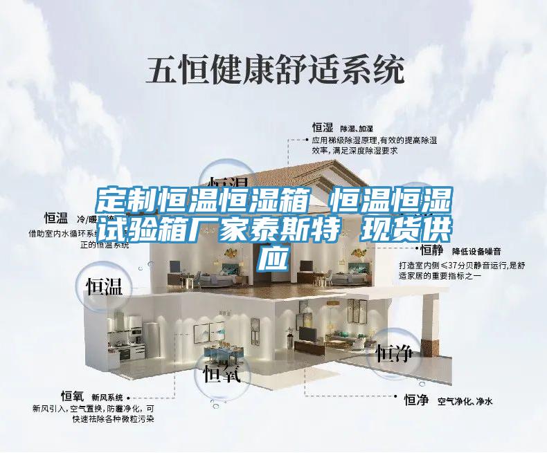 定制恒溫恒濕箱 恒溫恒濕試驗(yàn)箱廠(chǎng)家泰斯特 現(xiàn)貨供應(yīng)