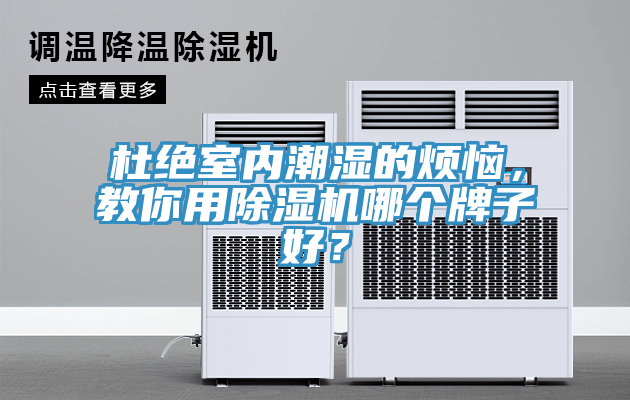 杜絕室內(nèi)潮濕的煩惱，教你用除濕機(jī)哪個牌子好？