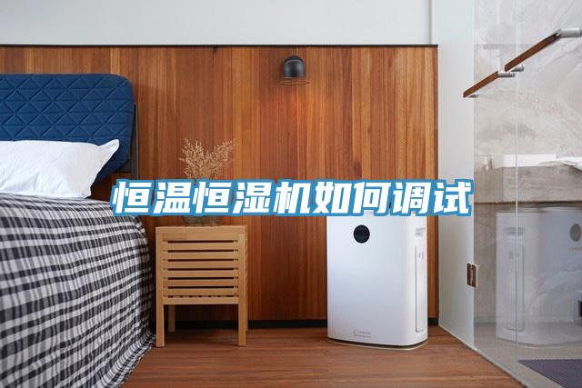 恒溫恒濕機如何調(diào)試