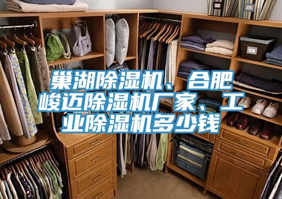 巢湖除濕機、合肥峻邁除濕機廠家、工業(yè)除濕機多少錢