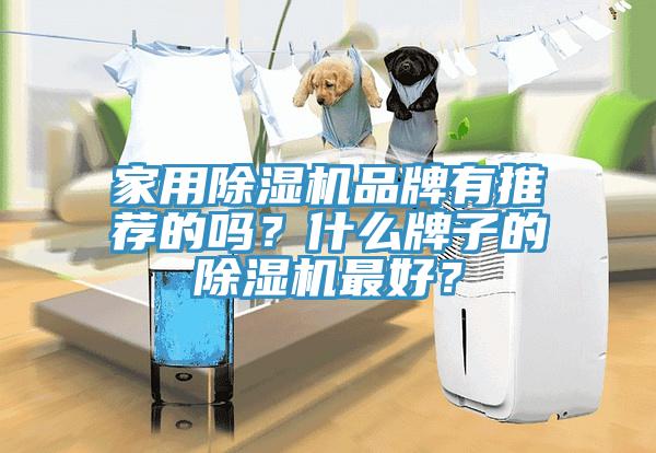 家用除濕機品牌有推薦的嗎？什么牌子的除濕機最好？