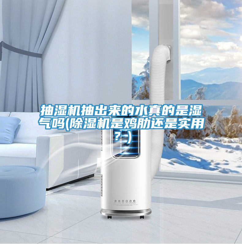 抽濕機抽出來的水真的是濕氣嗎(除濕機是雞肋還是實用？)
