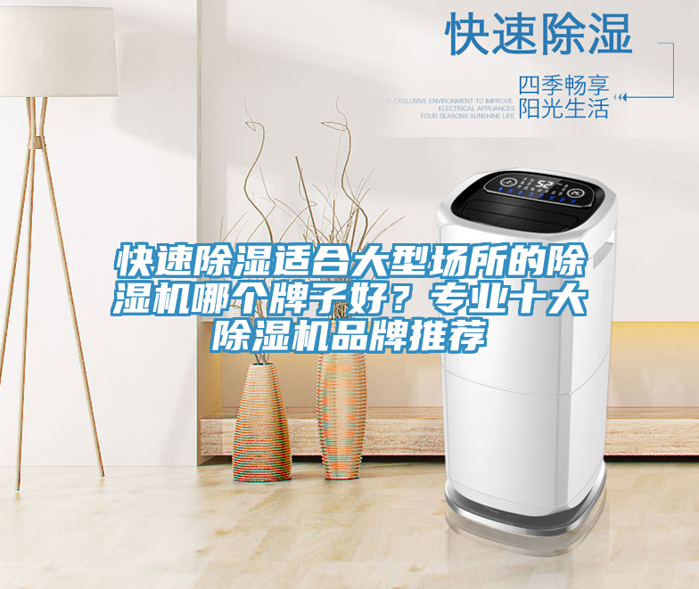 快速除濕適合大型場所的除濕機哪個牌子好？專業十大除濕機品牌推薦