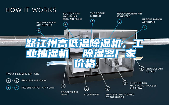 怒江州高低溫除濕機，工業抽濕機  除濕器廠家 價格