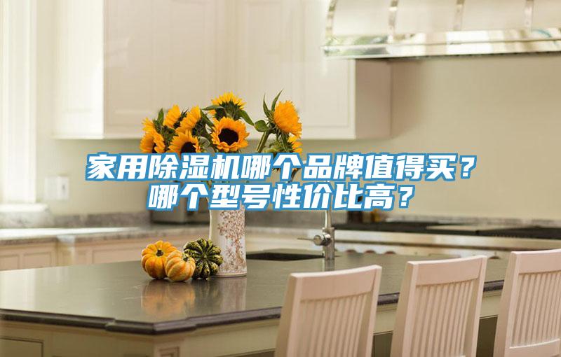 家用除濕機哪個品牌值得買？哪個型號性價比高？
