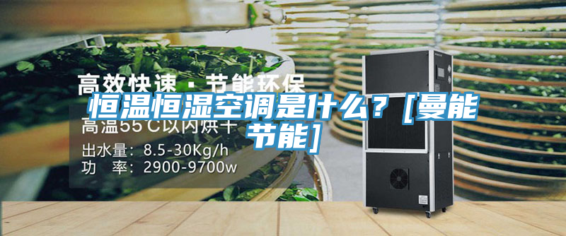 恒溫恒濕空調是什么？[曼能節能]