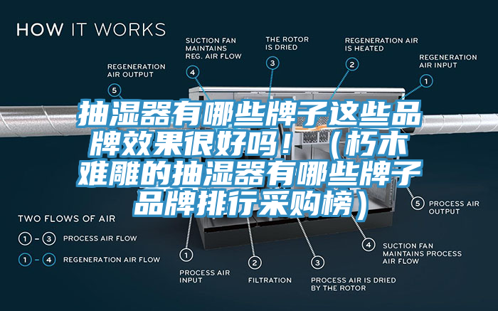抽濕器有哪些牌子這些品牌效果很好嗎?。ㄐ嗄倦y雕的抽濕器有哪些牌子品牌排行采購榜）