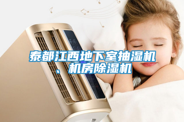 泰都江西地下室抽濕機、機房除濕機