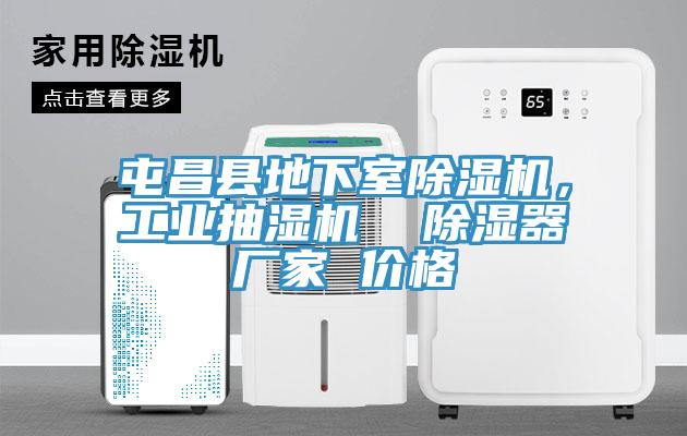 屯昌縣地下室除濕機，工業(yè)抽濕機  除濕器廠家 價格