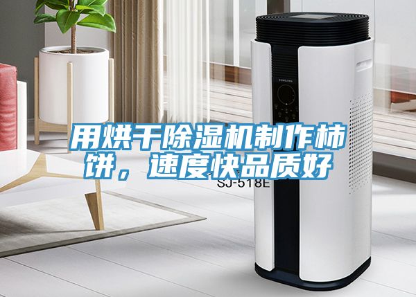 用烘干除濕機制作柿餅，速度快品質(zhì)好
