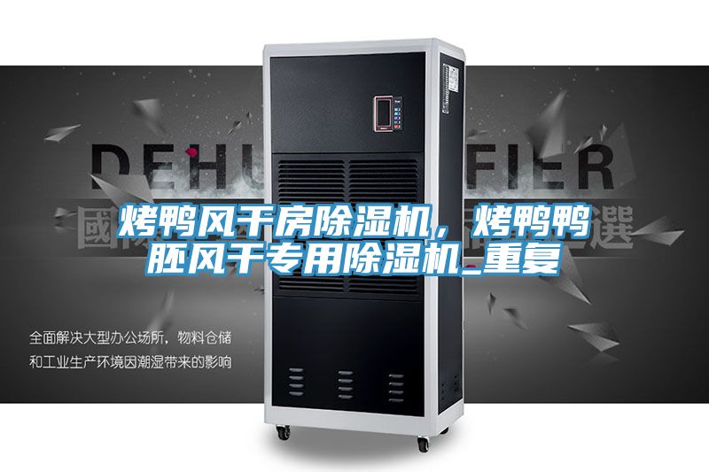 烤鴨風干房除濕機，烤鴨鴨胚風干專用除濕機_重復