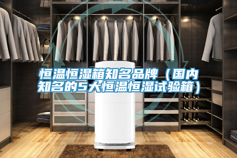 恒溫恒濕箱知名品牌（國內(nèi)知名的5大恒溫恒濕試驗(yàn)箱）