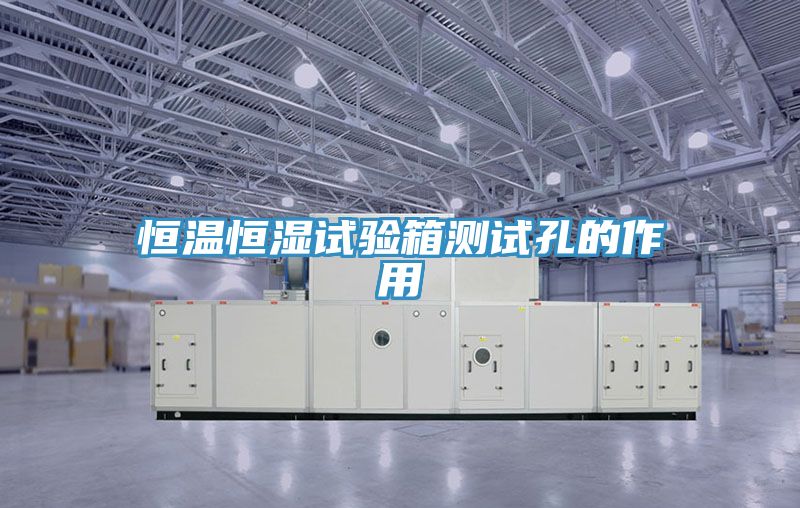 恒溫恒濕試驗(yàn)箱測試孔的作用