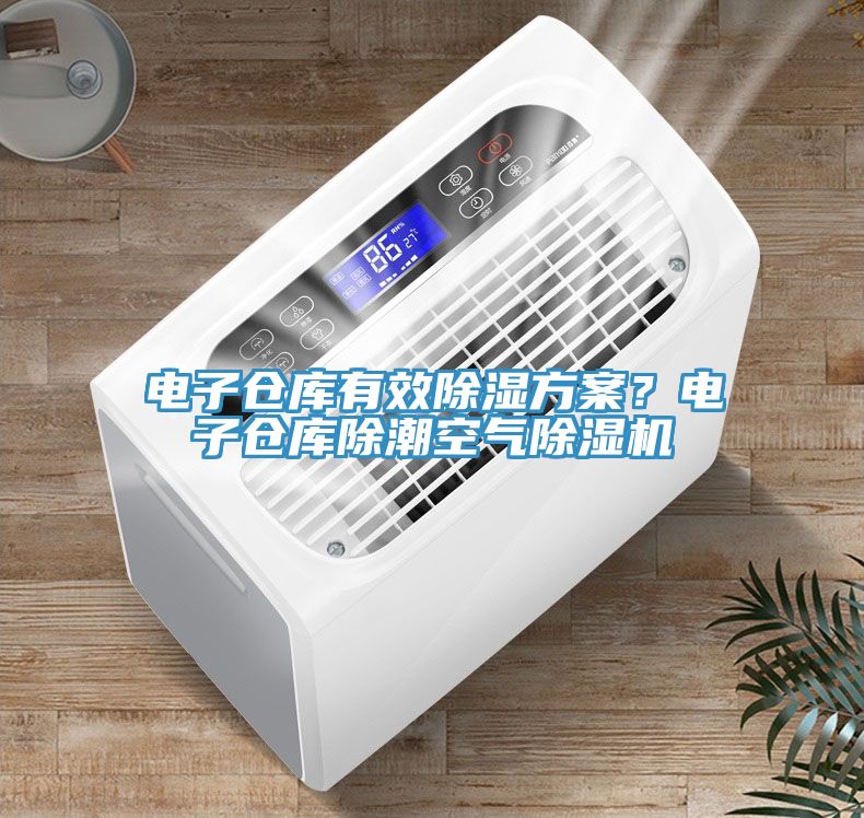 電子倉庫有效除濕方案？電子倉庫除潮空氣除濕機