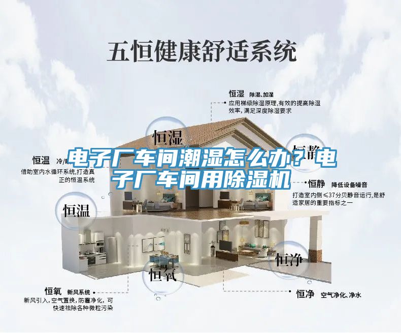 電子廠車間潮濕怎么辦？電子廠車間用除濕機