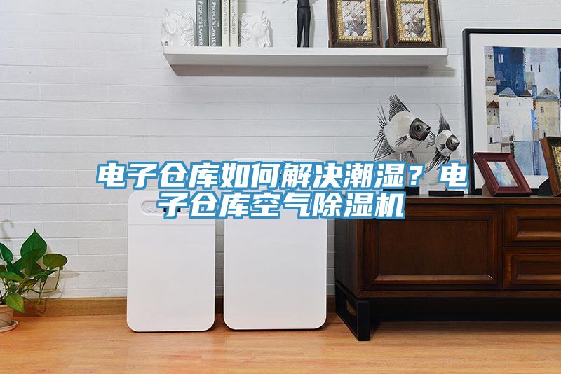 電子倉庫如何解決潮濕？電子倉庫空氣除濕機