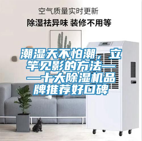 潮濕天不怕潮，立竿見影的方法——十大除濕機品牌推薦好口碑