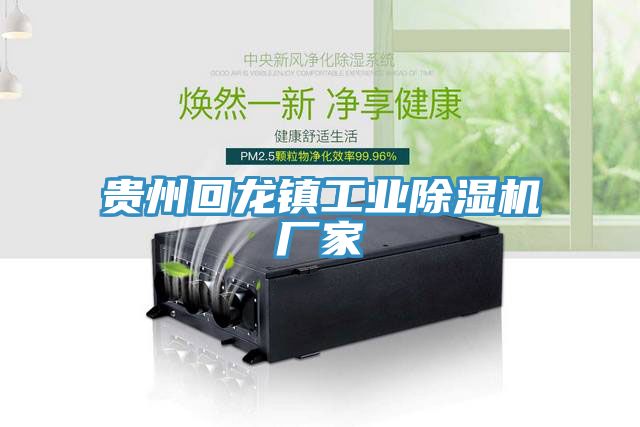 貴州回龍鎮工業除濕機廠家