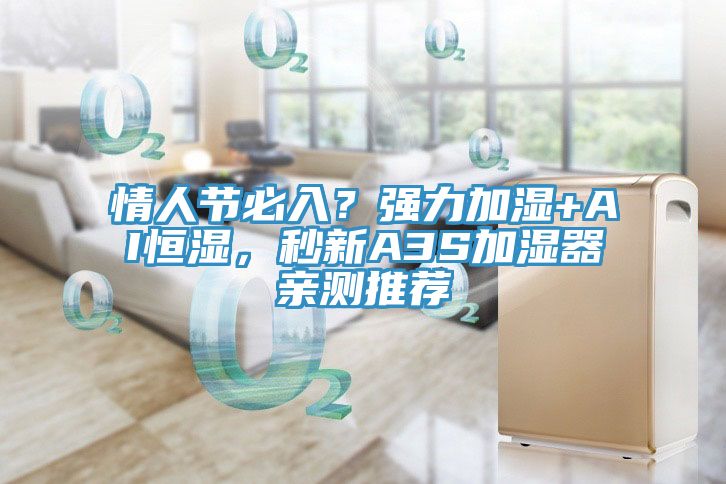 情人節(jié)必入？強(qiáng)力加濕+AI恒濕，秒新A3S加濕器親測(cè)推薦