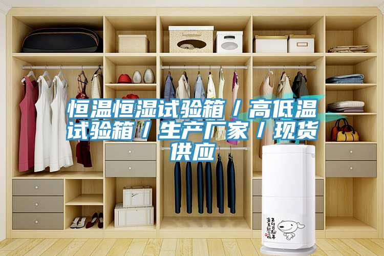 恒溫恒濕試驗箱／高低溫試驗箱／生產廠家／現(xiàn)貨供應