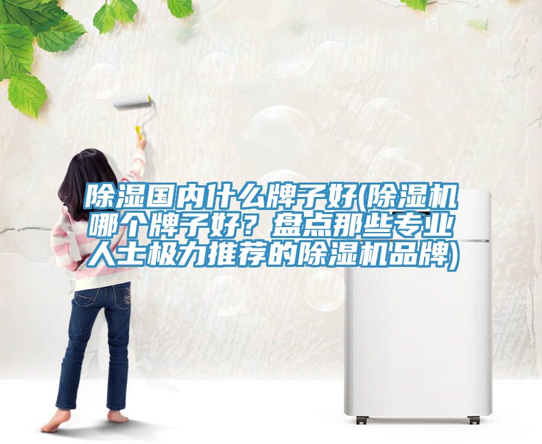 除濕國內什么牌子好(除濕機哪個牌子好？盤點那些專業人士極力推薦的除濕機品牌)