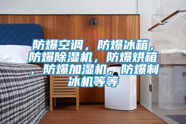 防爆空調，防爆冰箱，防爆除濕機，防爆烘箱，防爆加濕機，防爆制冰機等等
