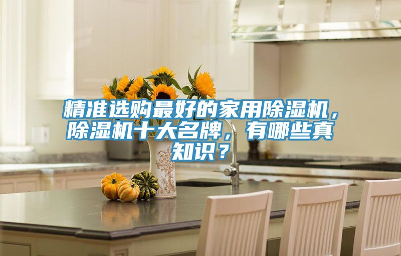 精準(zhǔn)選購最好的家用除濕機，除濕機十大名牌，有哪些真知識？