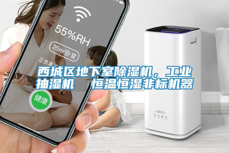 西城區地下室除濕機，工業抽濕機  恒溫恒濕非標機器