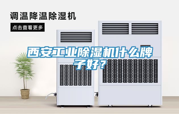 西安工業除濕機什么牌子好？