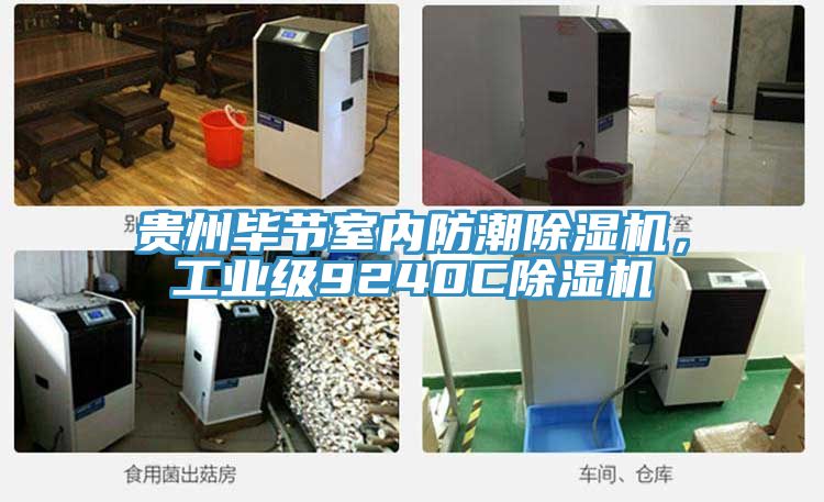 貴州畢節室內防潮除濕機，工業級9240C除濕機