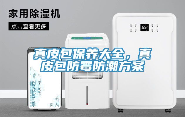 真皮包保養大全，真皮包防霉防潮方案