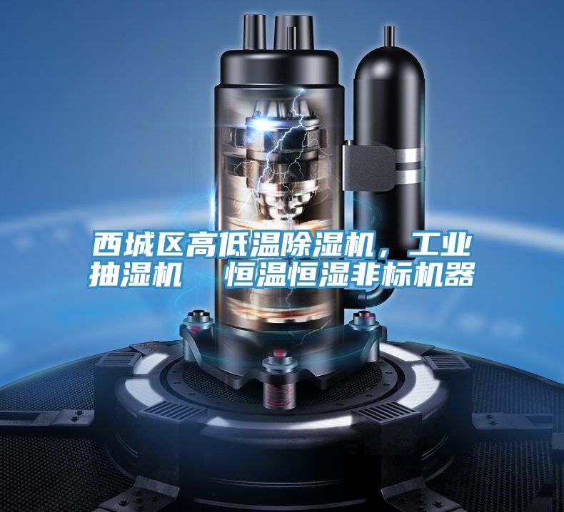 西城區高低溫除濕機，工業抽濕機  恒溫恒濕非標機器