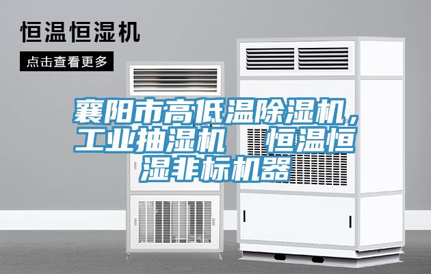襄陽市高低溫除濕機，工業抽濕機  恒溫恒濕非標機器
