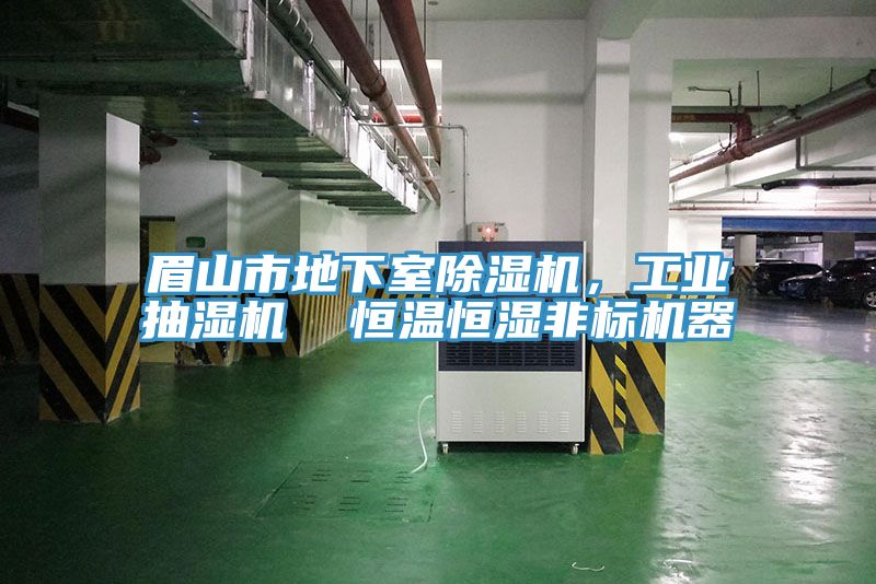 眉山市地下室除濕機，工業抽濕機  恒溫恒濕非標機器