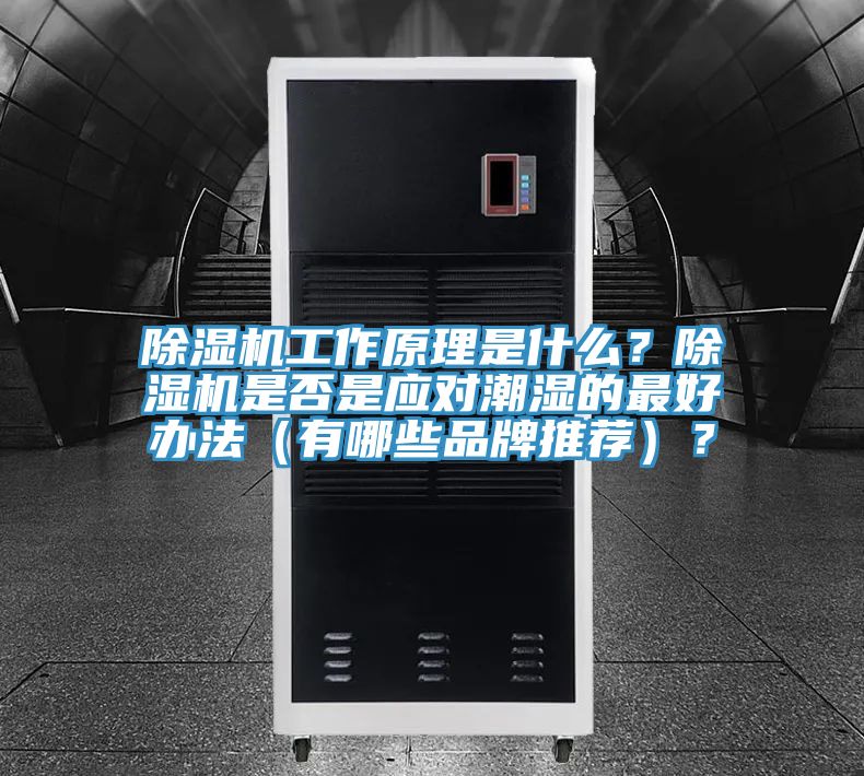 除濕機(jī)工作原理是什么？除濕機(jī)是否是應(yīng)對潮濕的最好辦法（有哪些品牌推薦）？