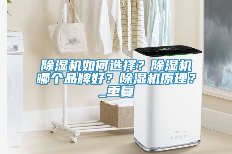 除濕機如何選擇？除濕機哪個品牌好？除濕機原理？_重復